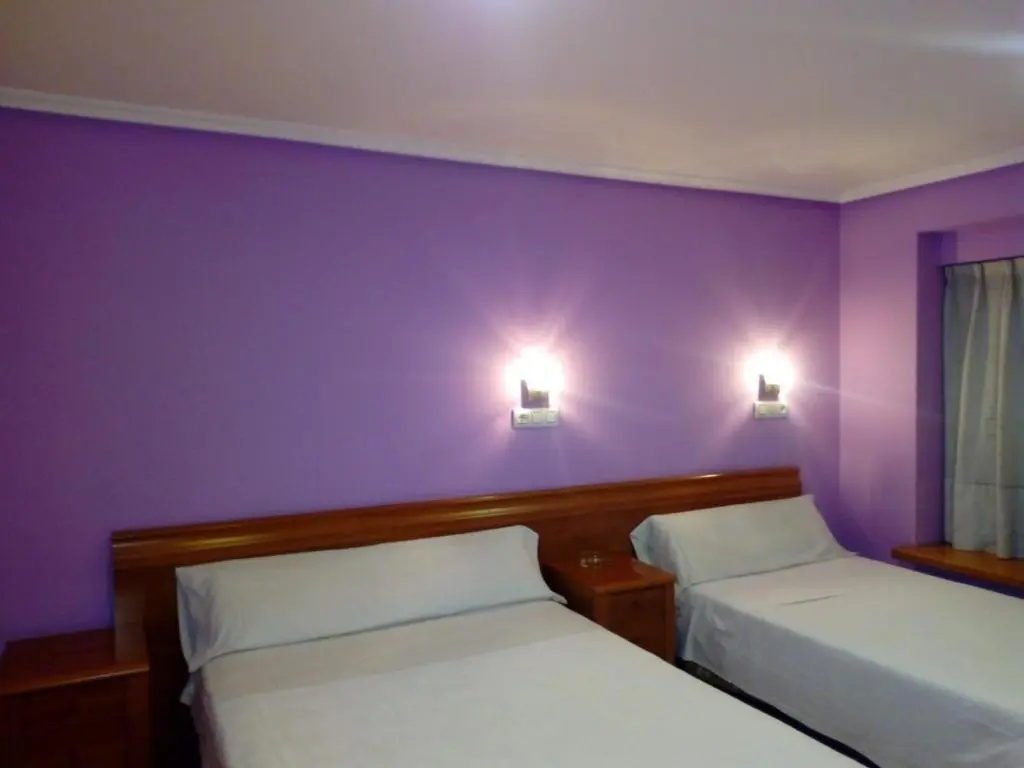 Standard Double room (twin beds)