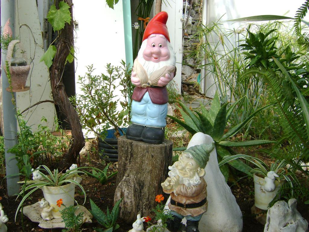Image 8