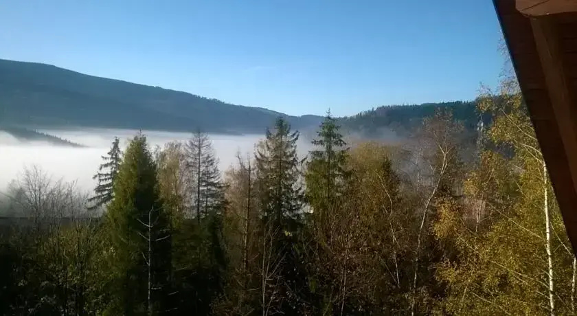 Willa pod Orłem - Général