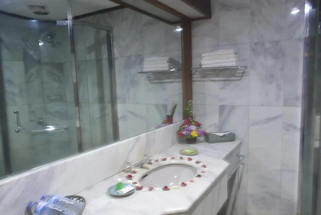 Superior Double room with garden view (full double bed)