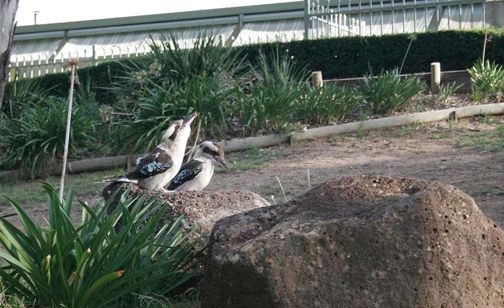 Riverview Motel Deniliquin — фото 6