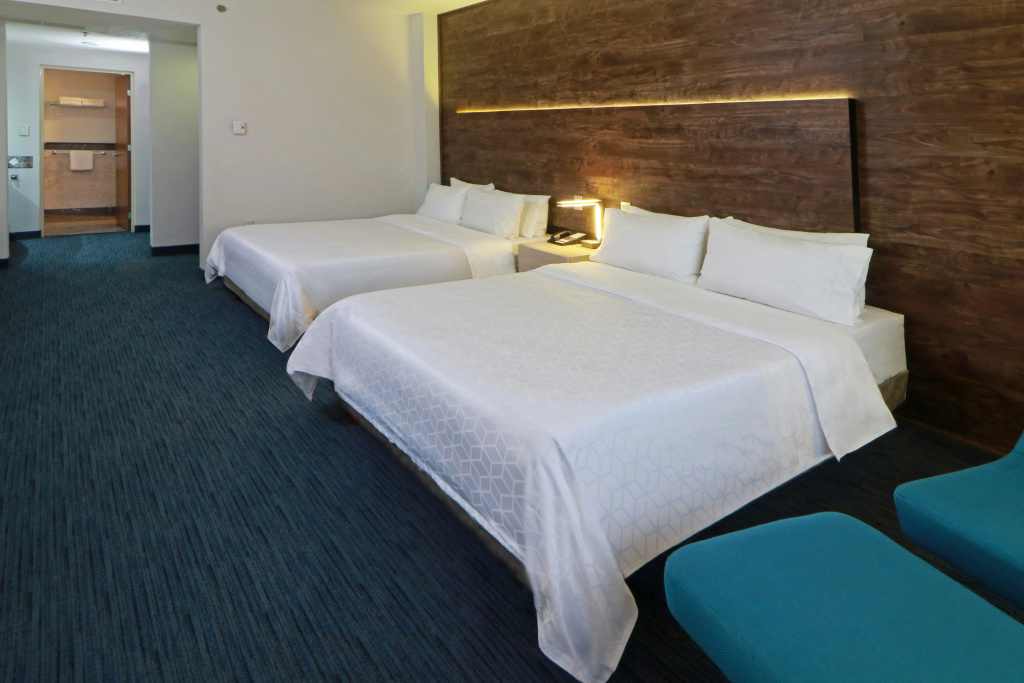 Holiday Inn Express San Luis Potosi by IHG - Général