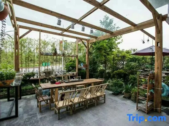 Balcony & Terrace