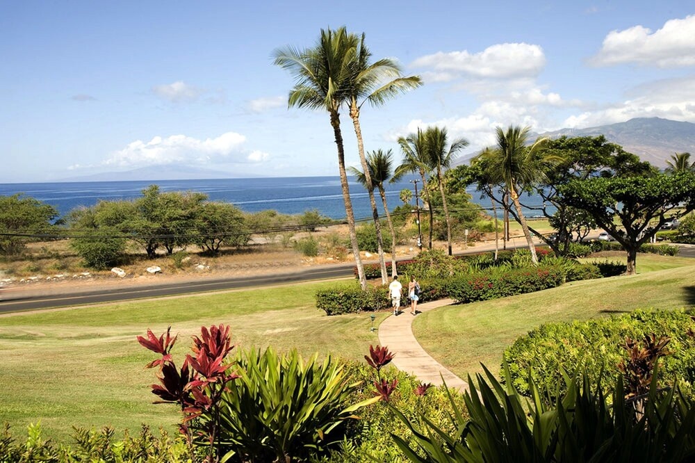 Beach & Waterfront