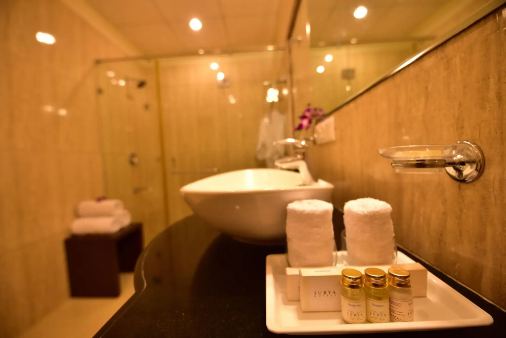 Hotel Surya Plaza - фото 9