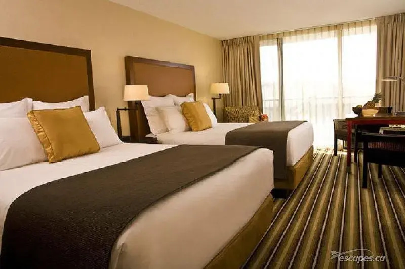 Maui Coast Hotel - Chambres
