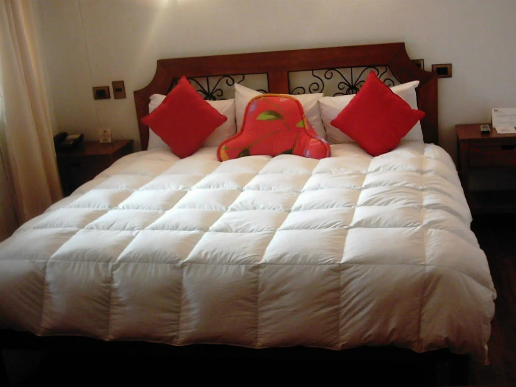 Hotel Hacienda Cusco Plaza - Général