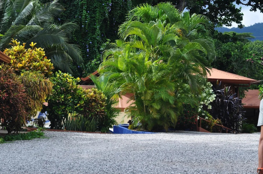 Hotel Alkamar - фото 22