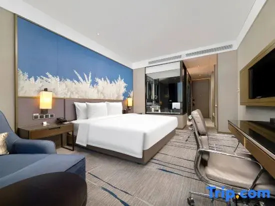 Standard Double room with lake view (full double bed)