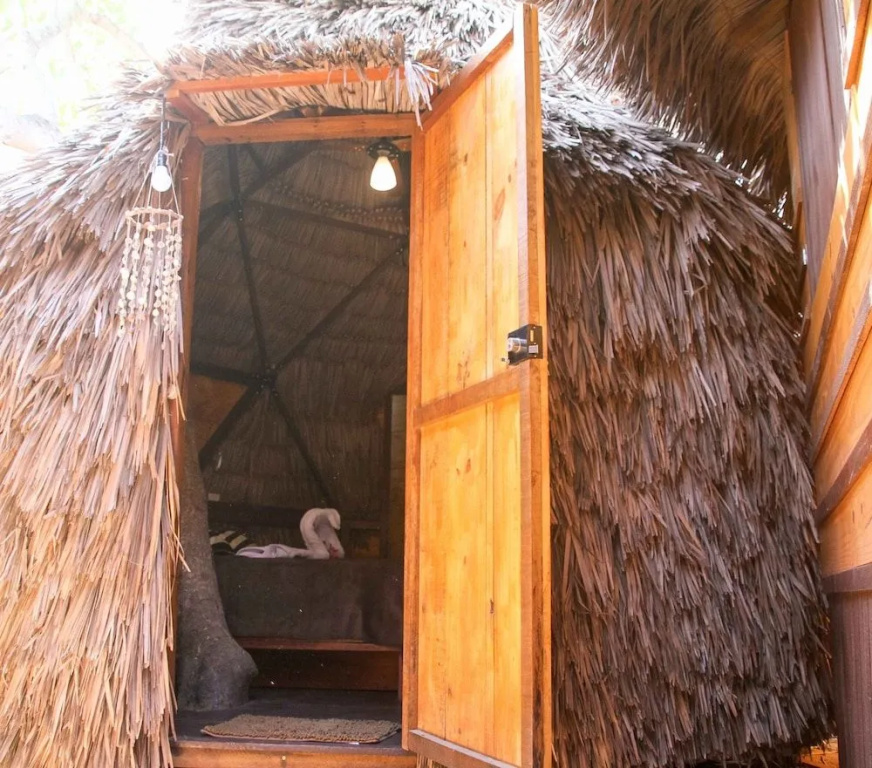 Raiz Kite Cabana