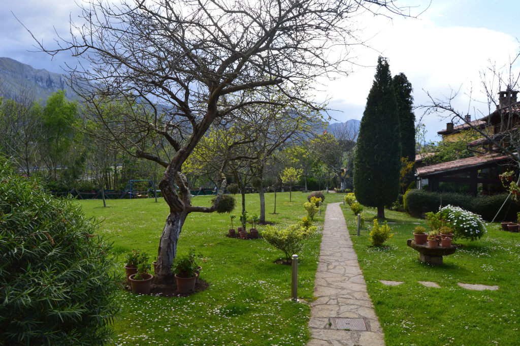 Hotel La Arquera - Général