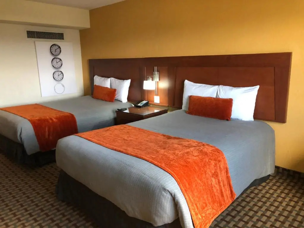 Deluxe Double room (twin beds)
