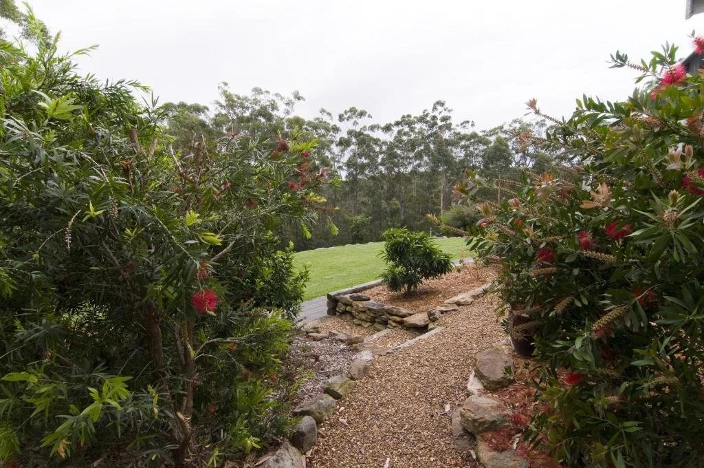 Bush View Cottage
