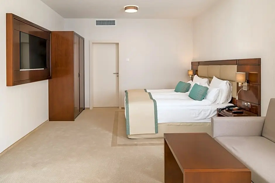 Grand Deluxe Double room (full double bed)