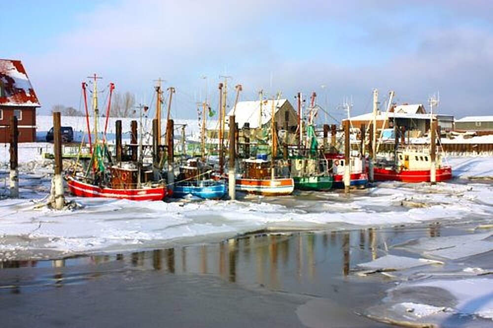 Beach & Waterfront