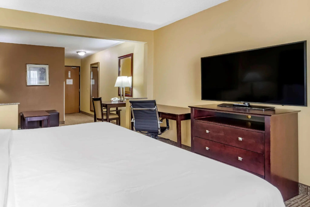 1 Bedroom Suite