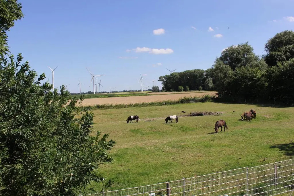 Ferienhaus Achtern Diek