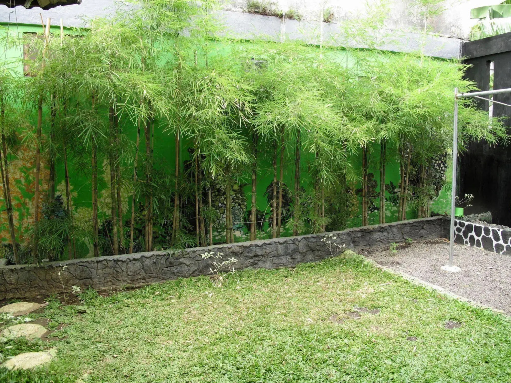 Morotai Camp Hostel -Adult Only