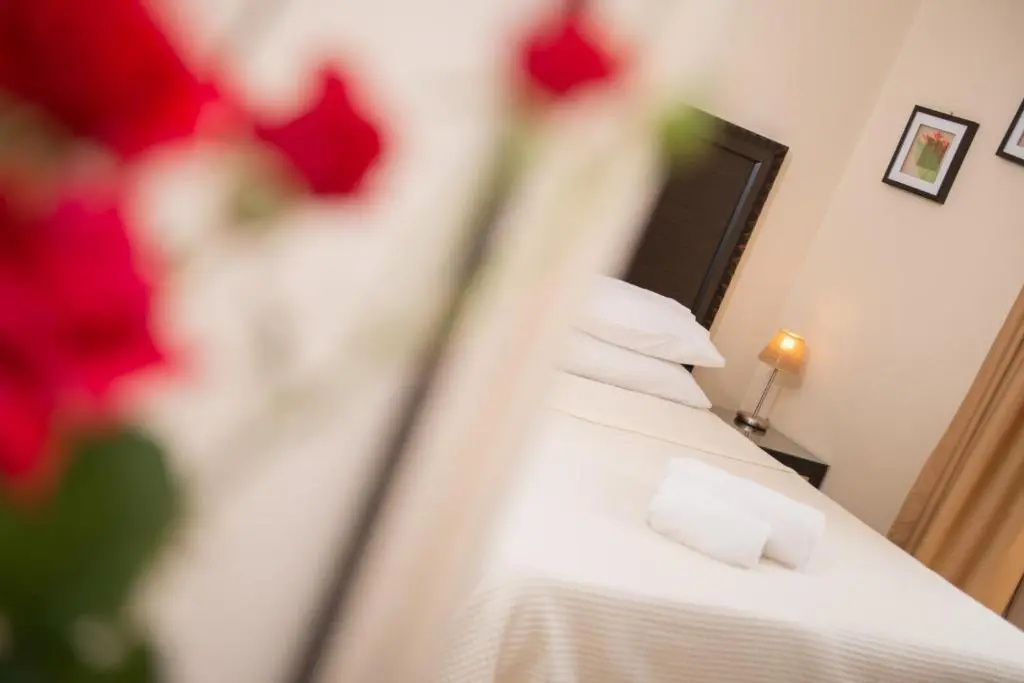 Standard Double room with garden view (full double bed)