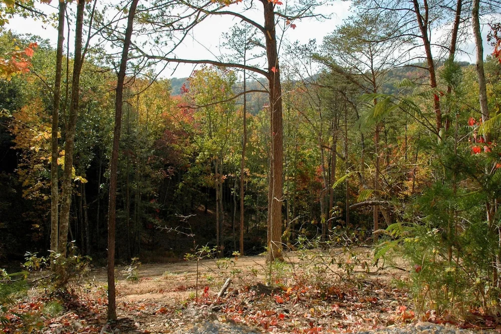 SOUTHERN NITES - 1 Br Cabin