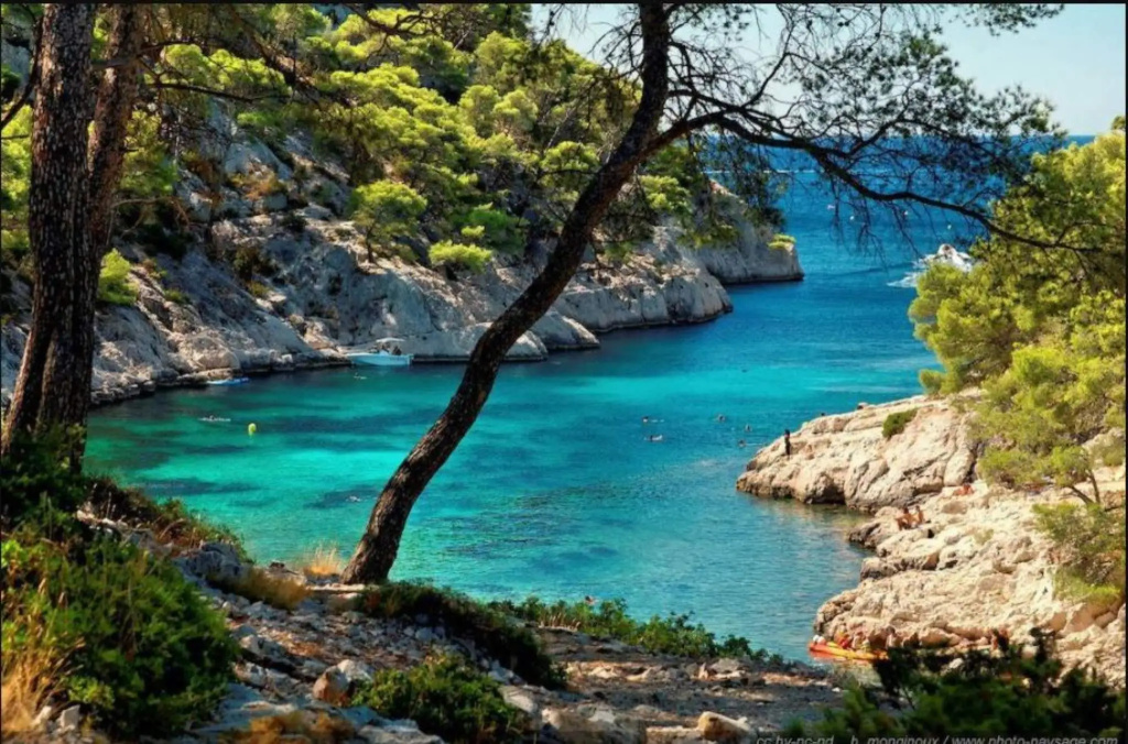 Beach & Waterfront