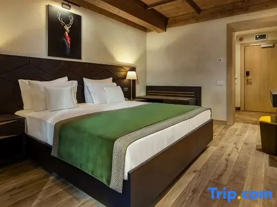 Ana Hotels Bradul Poiana Brasov - Chambres
