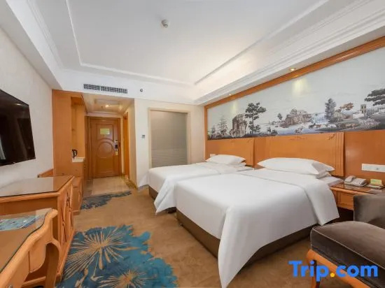 Vienna Hotel Guangzhou Chimelong Dashi Metro Station - Chambres