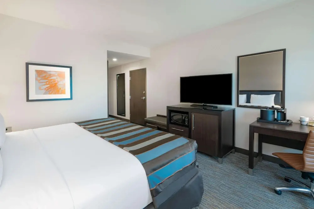 Double Suite (full double bed)