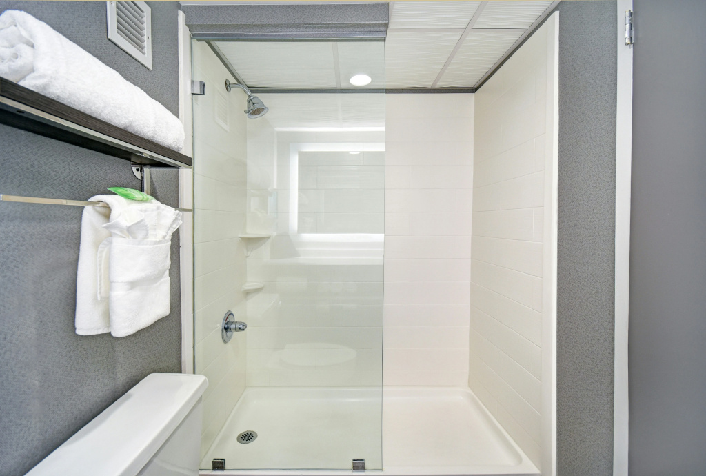 Holiday Inn Downtown Memphis by IHG - Général