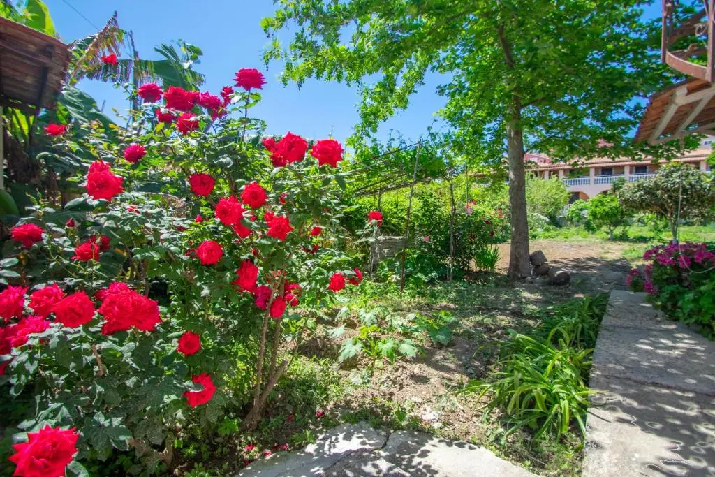 Dora's Tsilivi Beach House A
