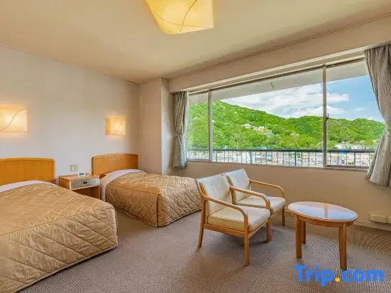 Standard Double room with city view (twin beds)