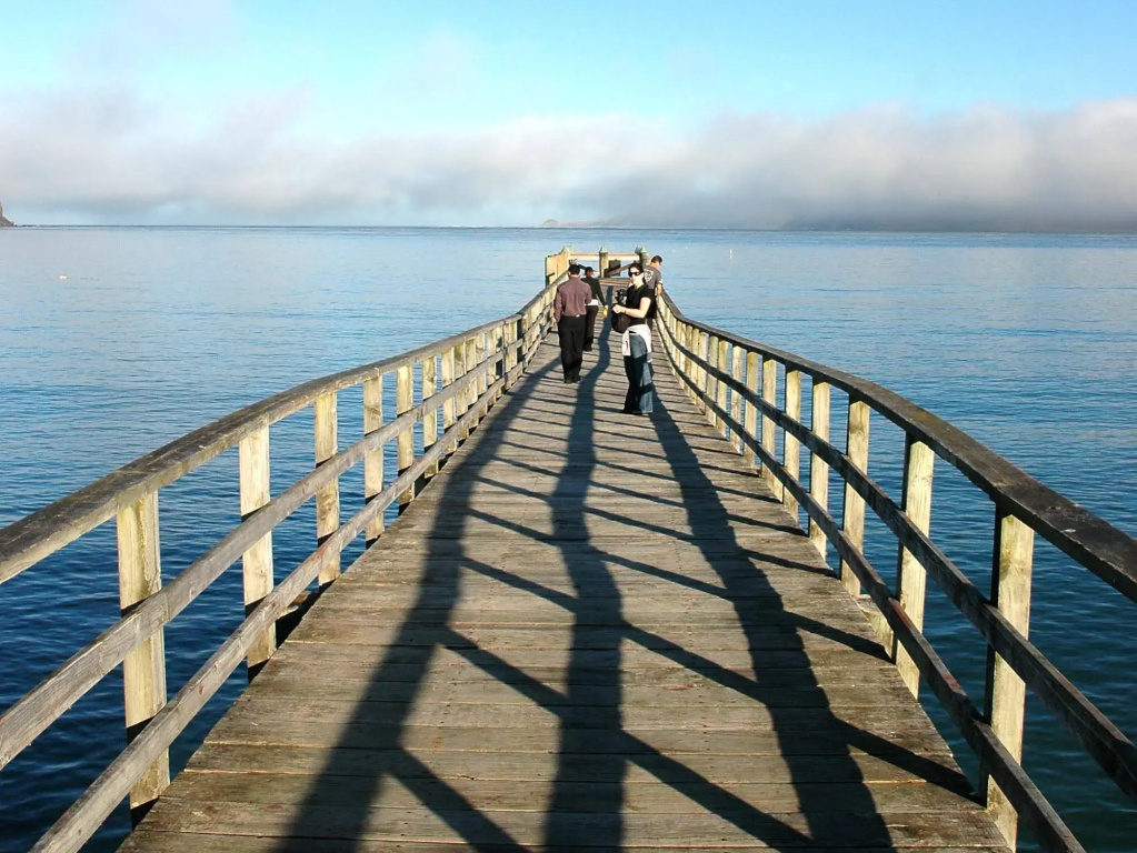 The Sands Hotel Hokianga - Général