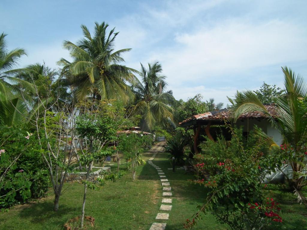 Coconut Island