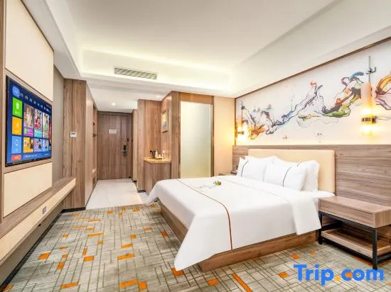 Standard Double room with city view (full double bed)