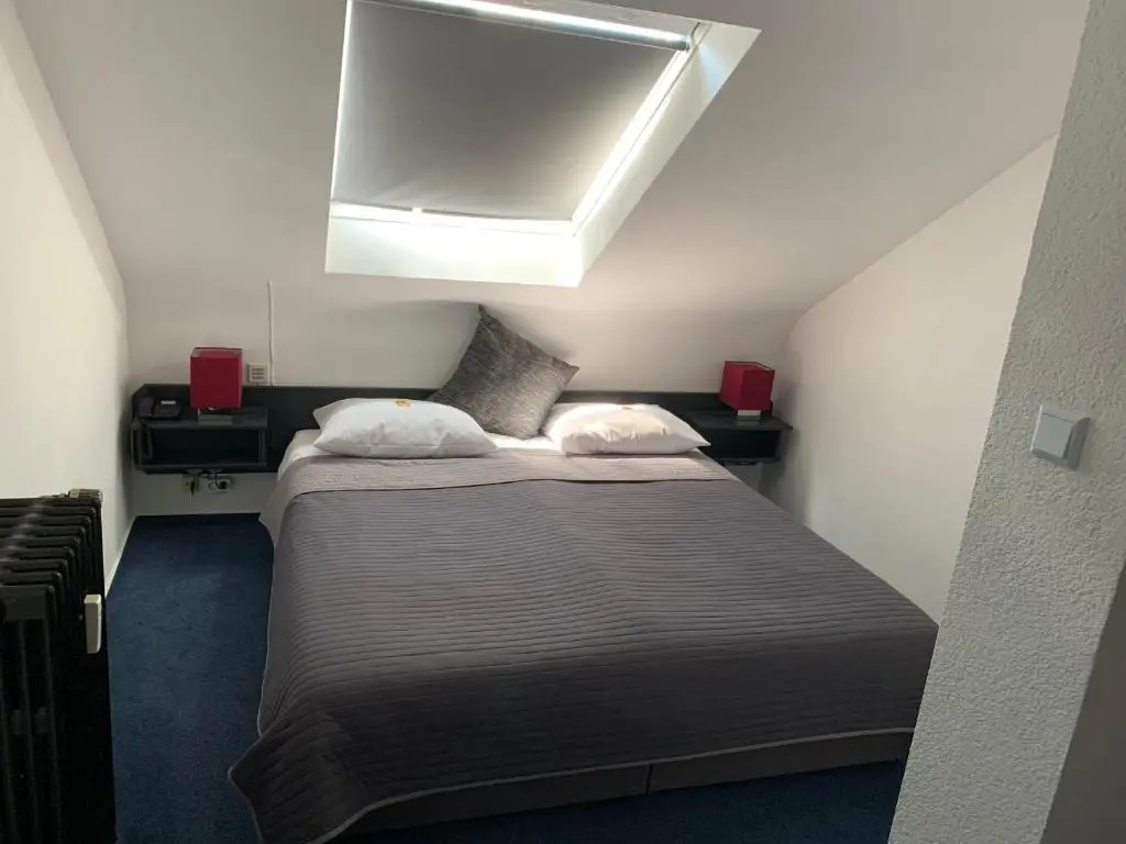 Standard Double room (full double bed)