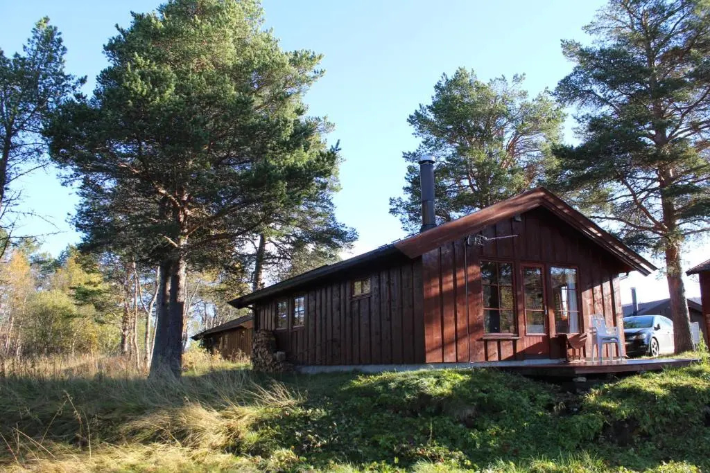 Ådne-Bu, 8 persons cabin in Geilo