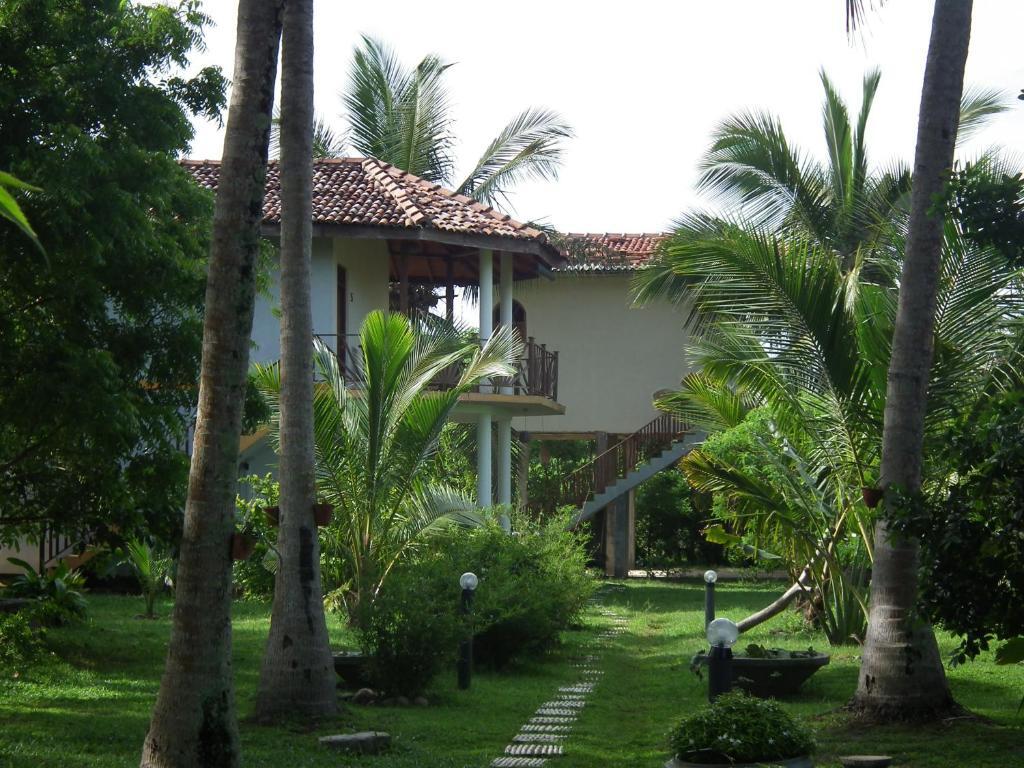 Coconut Island