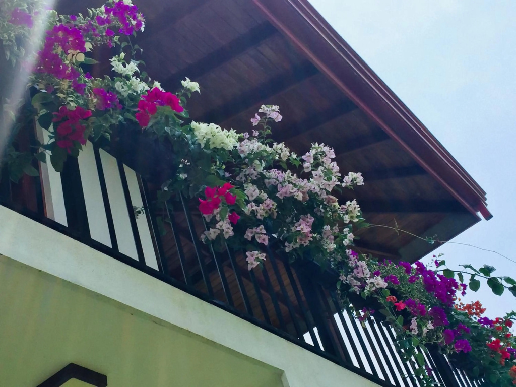 Villa 252 Kosgoda