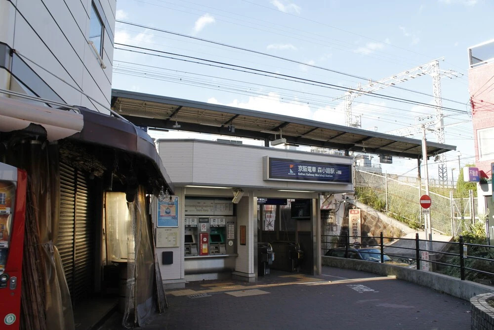 Hr Front Regal Shinmori - фото 12