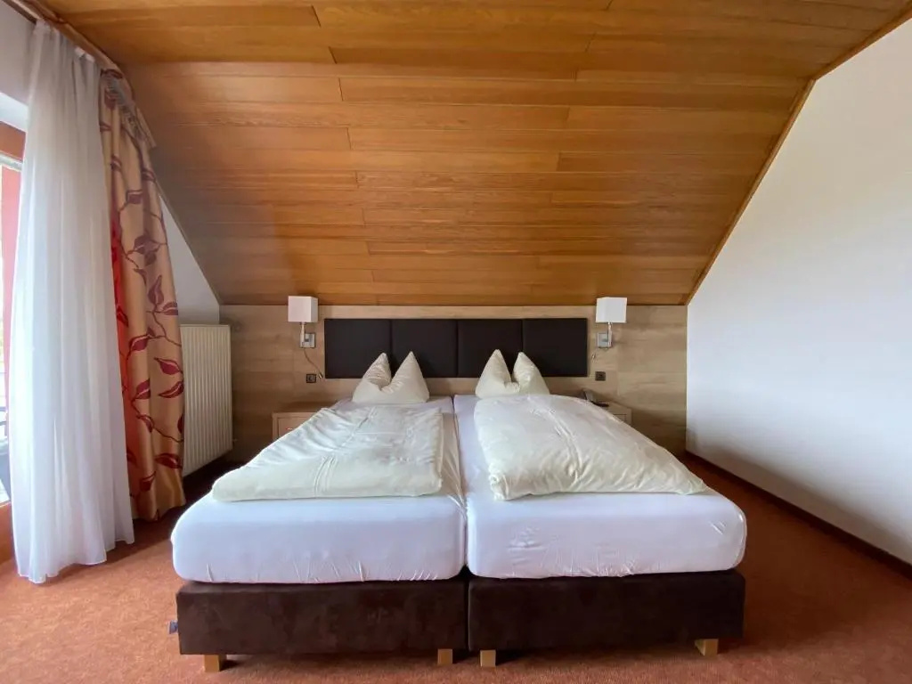 Economy Double room (full double bed)