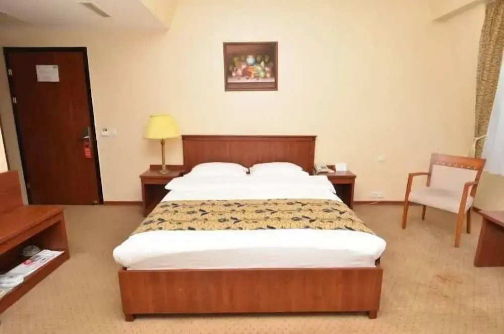 Akgun Elazig Hotel - Chambres