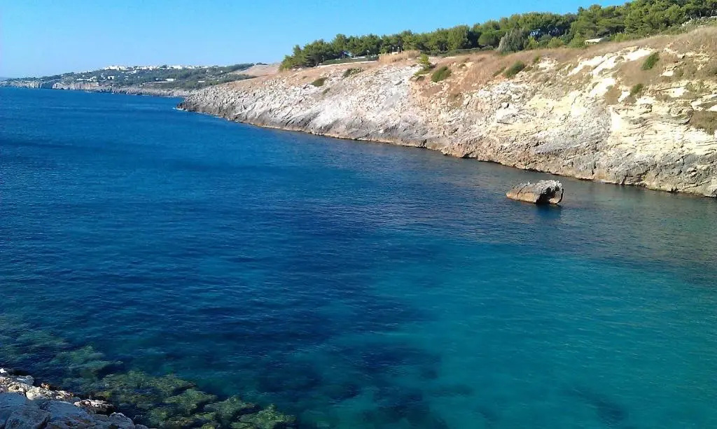 Beach & Waterfront