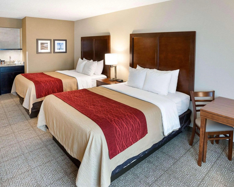 Comfort Inn Duluth West - Général