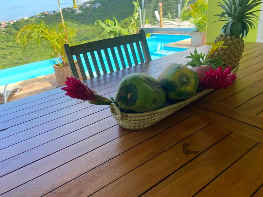 Bungalow de 2 chambres avec vue sur la mer piscine partagee et jardin clos a Vieux Habitants a 6 km de la plage