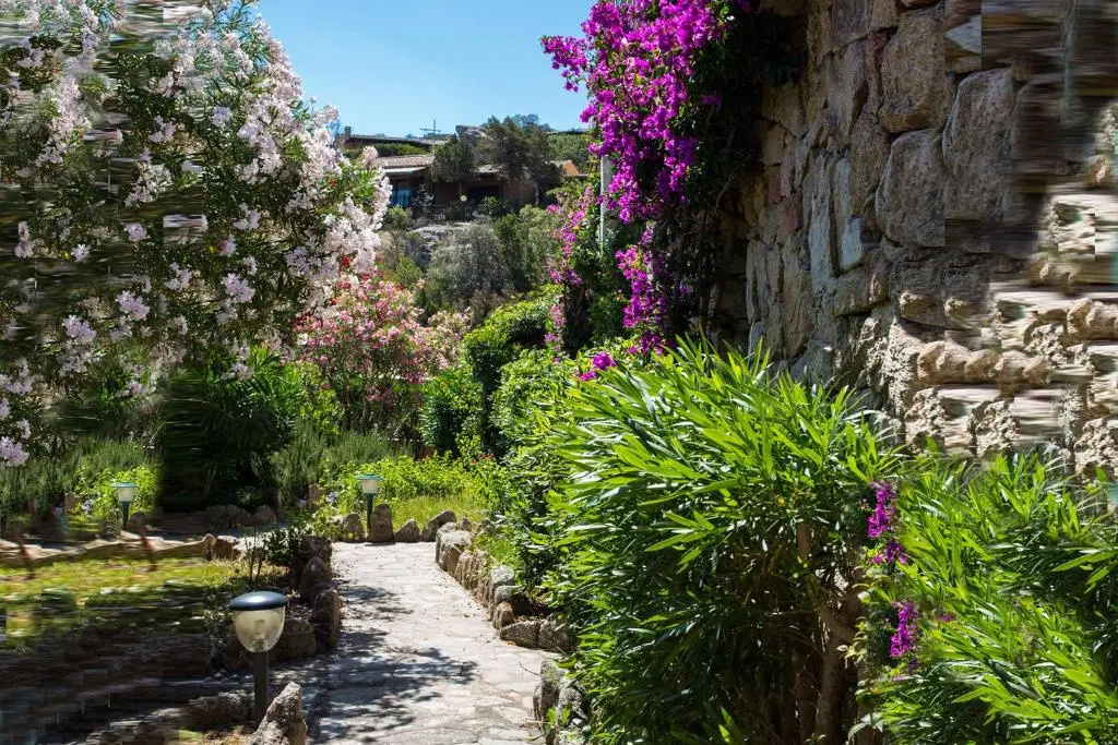 La Jacia Hotel & Resort - Chambres
