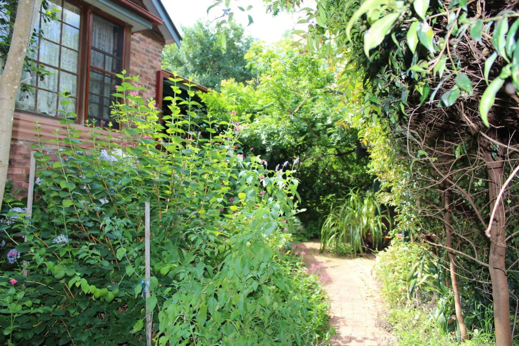 Image 18