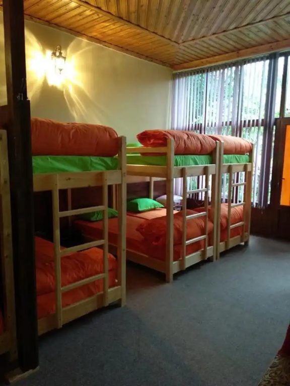 Bed in Dorm