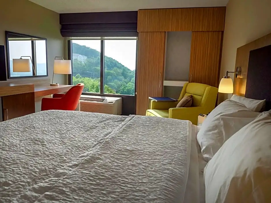Standard room with mountain view