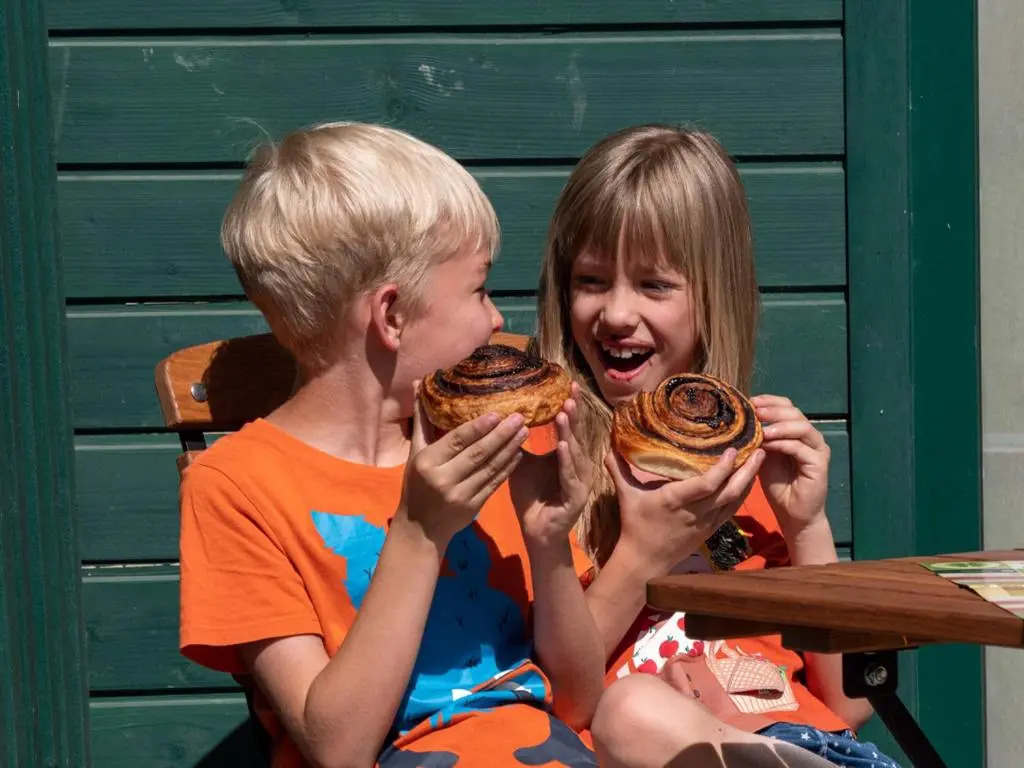 Skanzen Hotel - фото 5