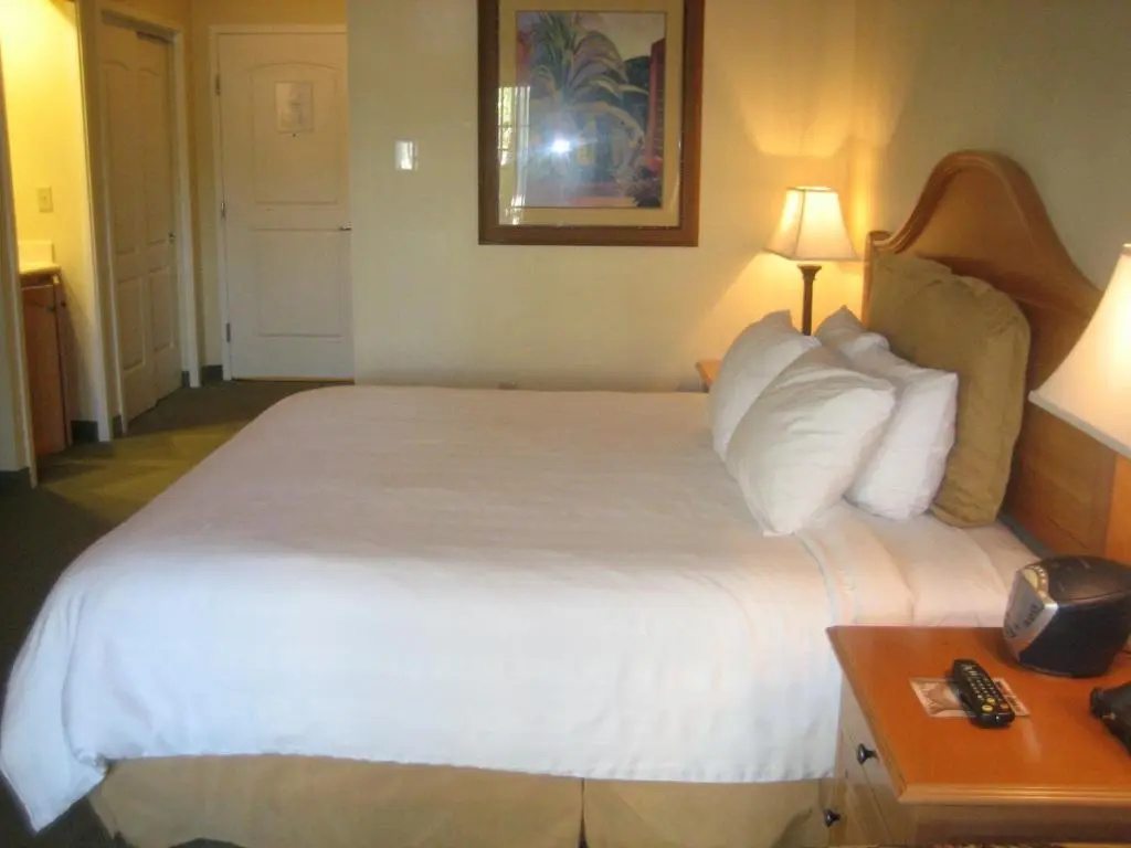 Monumental Hotel Orlando - Chambres